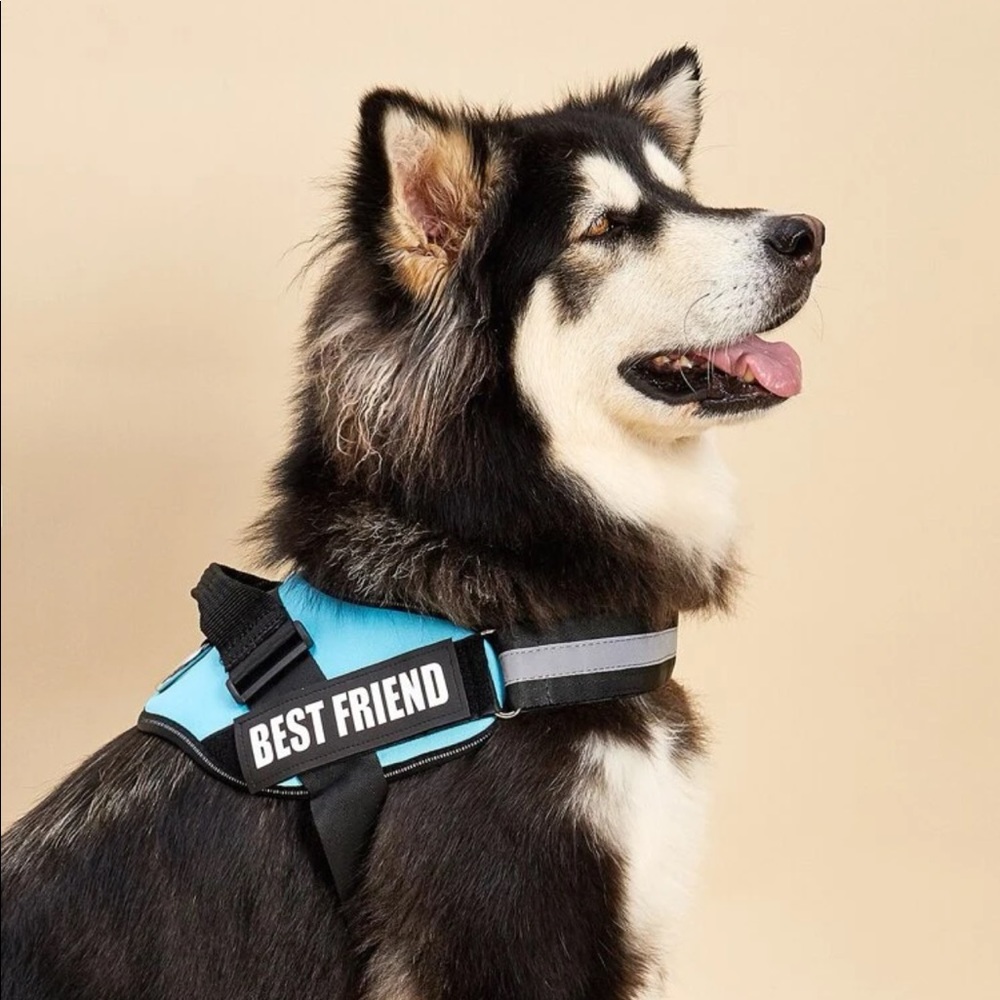 Letter Graphic Reflective No Pull Pet Harness 🐕